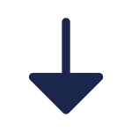 Arrow Down SVG Icon